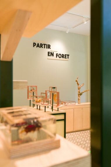 Photographie d'architecture du cabinet de curiosité de l'auberge des Dauphins avec l'inscription partir en forêt.