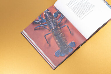 Livre de cuisine ouvert sur une image de homard avec fond doré, photographie de Studio Odette pour Pierre Manas